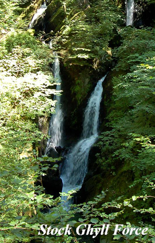 Stock Ghyll Force Picture Magnets