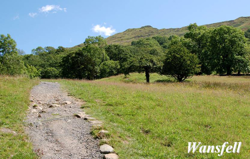 Wansfell Picture Magnets