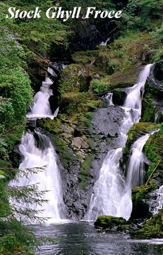 Stock Ghyll Force Picture Magnets