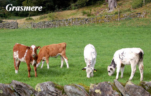 Grasmere Picture Magnets