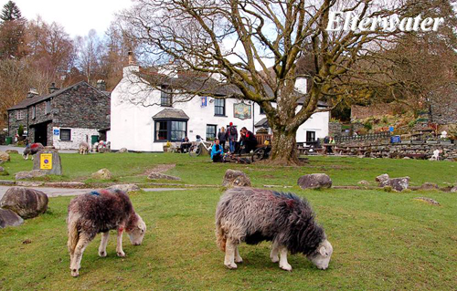 Elterwater Picture Magnets