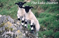 The Lake District Picture Magnets
