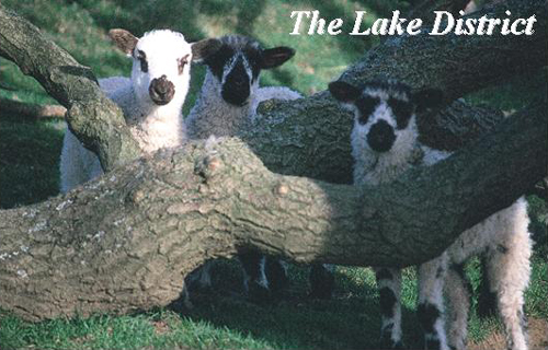 The Lake District Picture Magnets