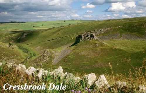 Cressbrook Dale Picture Magnets