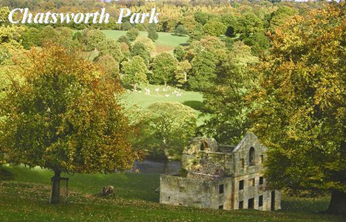 Chatsworth Park Picture Magnets