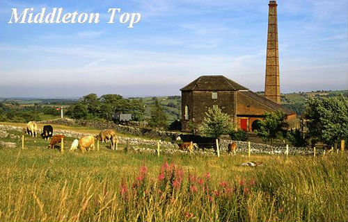 Middleton Top Picture Magnets