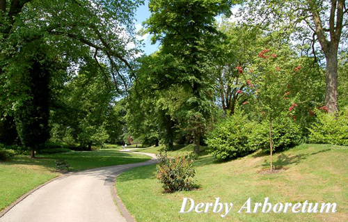 Derby Arboretum Picture Magnets