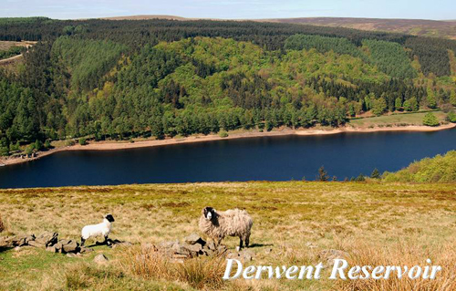 Derwent Reservoir Picture Magnets