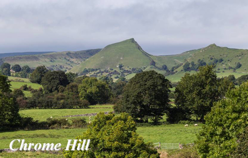 Chrome Hill Picture Magnets