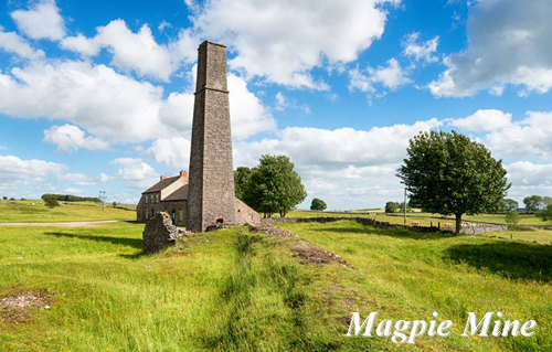 Magpie Mine Picture Magnets
