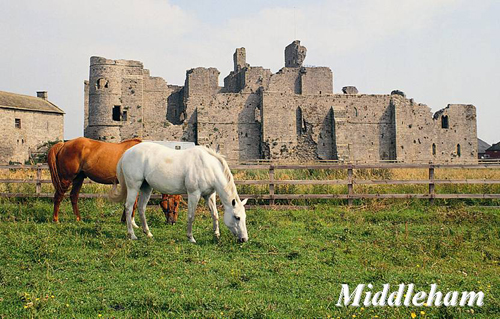Middleham Picture Magnets