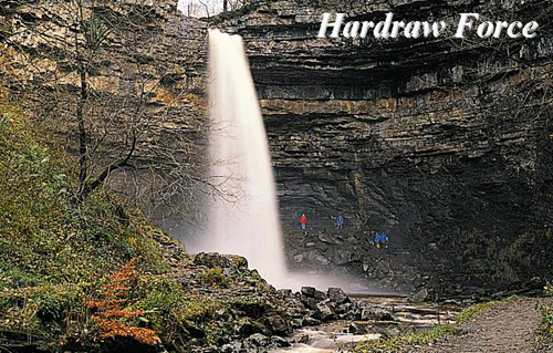 Hardraw Force Picture Magnets