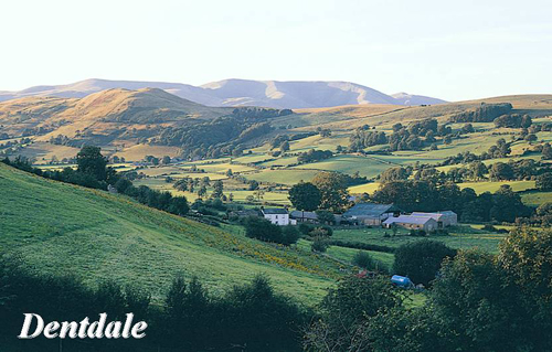 Dentdale Picture Magnets