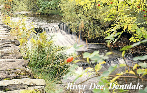 River Dee, Dentdale Picture Magnets