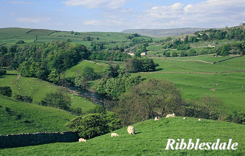 Ribblesdale Picture Magnets