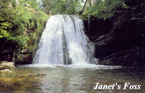 Janet's Foss Picture Magnets