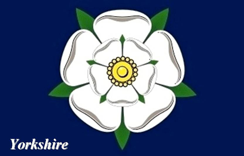 Yorkshire (Rose) Picture Magnets