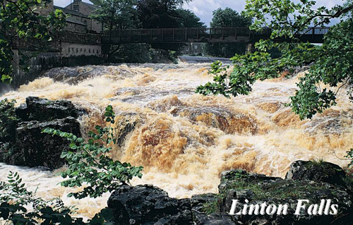 Linton Falls Picture Magnets