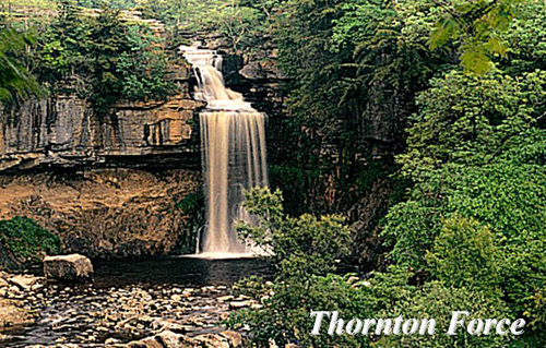 Thornton Force Picture Magnets
