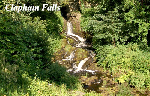 Clapham Falls Picture Magnets
