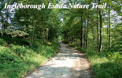 Ingleborough Estate Nature Trail Picture Magnets