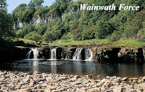 Wainwath Force Picture Magnets