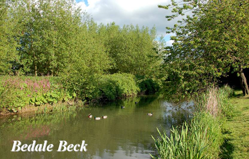 Bedale Beck Picture Magnets