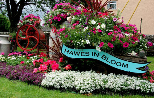 Hawes In Bloom Picture Magnets