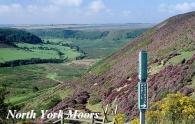 North York Moors Picture Magnets
