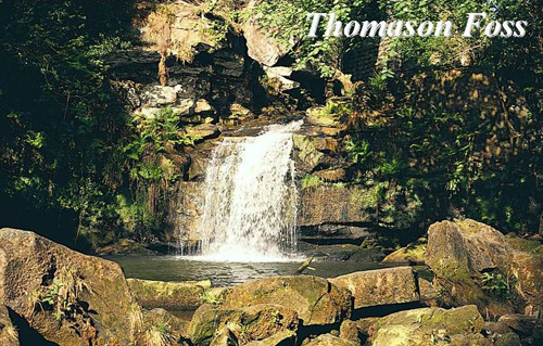 Thomason Foss Picture Magnets