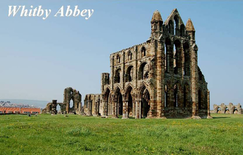 Whitby Abbey Picture Magnets