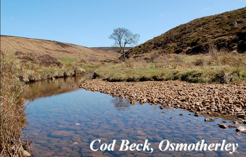Cod Beck, Osmotherley Picture Magnets