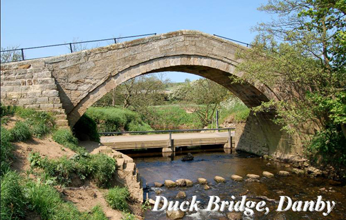 Duck Bridge, Danby Picture Magnets