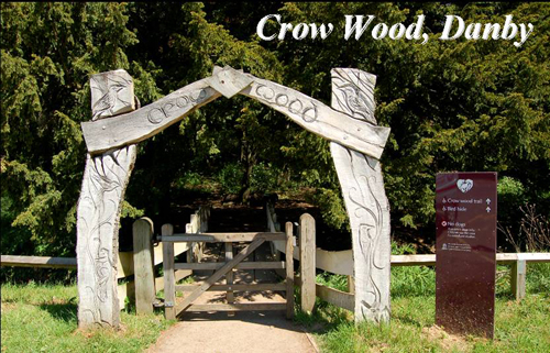 Crow Wood, Danby Picture Magnets
