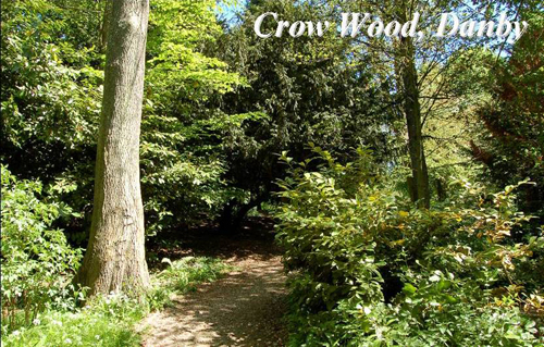 Crow Wood, Danby Picture Magnets