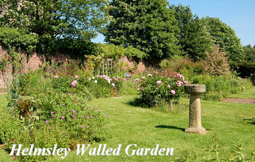 Helmsley Walled Garden Picture Magnets