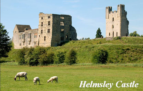 Helmsley Castle Picture Magnets