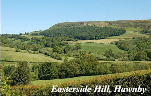 Easterside Hill, Hawnby Picture Magnets