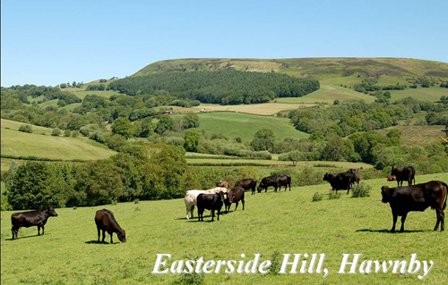 Easterside Hill, Hawnby Picture Magnets