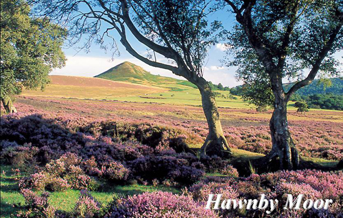 Hawnby Moor Picture Magnets