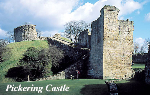 Pickering Castle Picture Magnets