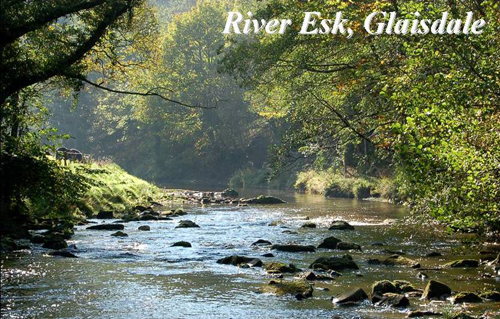 River Esk, Glaisdale Picture Magnets