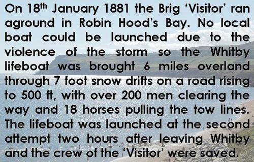 Robin Hood's Bay (Story about the Brig 'Visitor') Picture Magnets