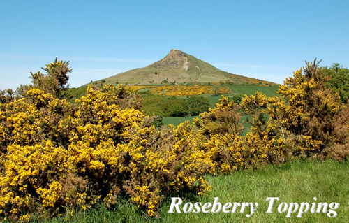 Roseberry Topping Picture Magnets