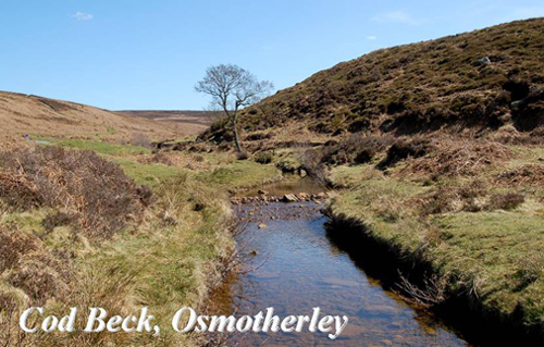 Cod Beck, Osmotherley Picture Magnets