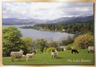 The Lake District (Windermere) postcards