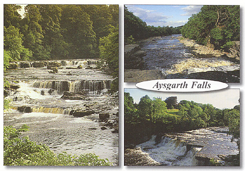 Aysgarth Falls postcards