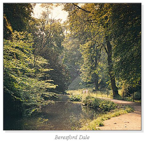 Beresford Dale Square Cards