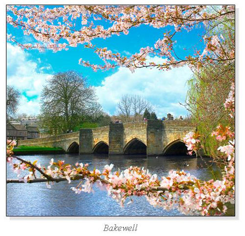 Bakewell Square Cards