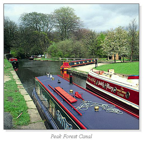 Peak Forest Canal Square Cards